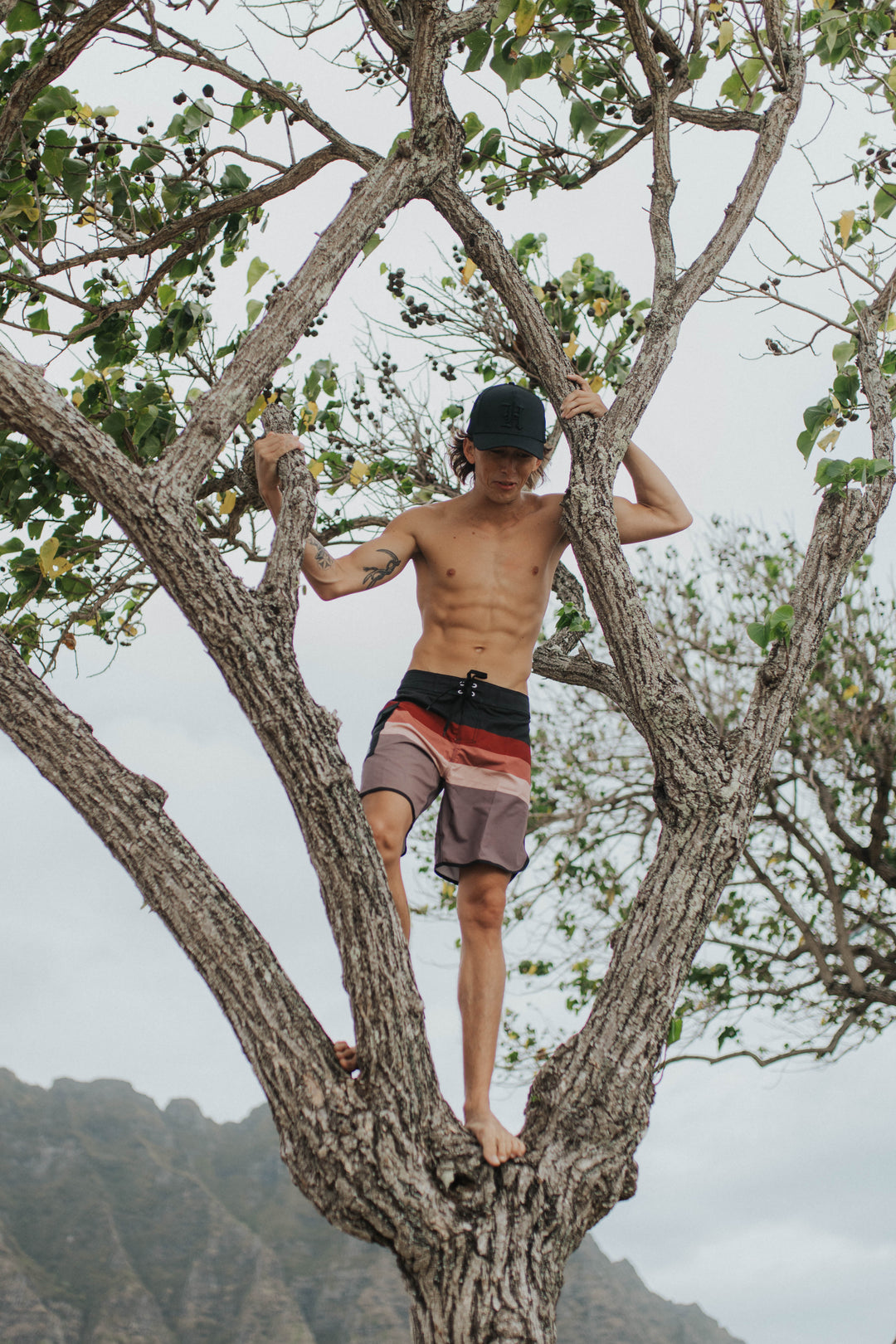 SUNBURN Boardshorts