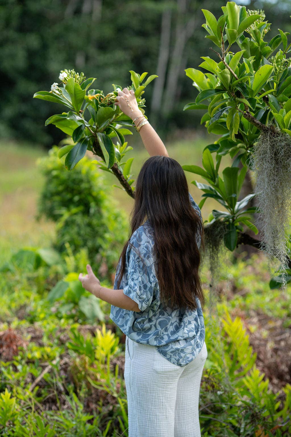 Womens Oversized Shirt in Plumeria Heaven