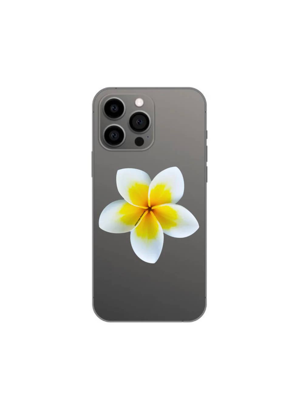 PLUMERIA FLOWER PHONE GRIP: Pink