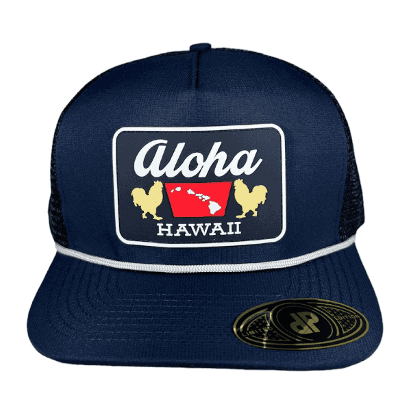 https://www.doubleportionsupply.com/wp-content/uploads/Aloha-Hawaii-2.png