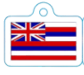 HiDarling Keychain - Hawaiian Flag
