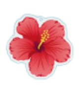 HiDarling Keychain - Hibiscus