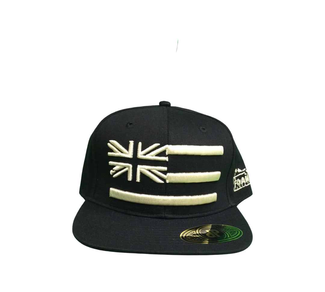 Foam Co Hat 3d Puff Hawaiian Flag / side logo Snapback